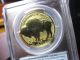Reverse Proof Buffalo Pcgs 2013 - W 1 Oz Rev Proof $50.  00 A First Strike Coin Gold photo 3