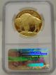 2006 W $50 One Ounce.  9999 Gold Buffalo Ngc Pf 70 Ultra Cameo First Year Issue Gold photo 2