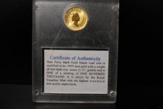 1998 Canada 1/10 Oz.  9999 Gold Maple Leaf $5 Coin Family Of Eagles Privy Mark photo