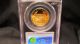 1987 - P American Eagle $25 1/2 Oz Gold Pcgs Pr69dcam Rare Coin Gold photo 1