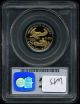 1999 - W G$10 Gold American Eagle Pr69dcam Pcgs Gold photo 1