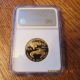 1/2 Oz 1995 Gold Coin American Eagle Ngc Pf 69 Bullion Gold photo 1