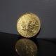 1984 Canadian Gold Maple Leaf 1/4 Oz $10 Ten Dollars.  9999 Pure Gold Coin Coins: World photo 4