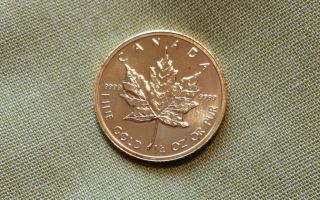 1986 Canada 10$ 1/4 Ounce Pure Gold.  9999 Canadian Maple Leaf Elizabeth Ii Unc photo