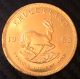 1983 1 Oz South African Gold Krugerrand Bullion Coin,  22 Kt Pure Gold Gold photo 1
