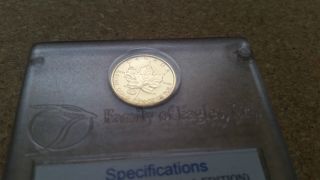 1998 1/10 Gold.  9999 Maple Leaf Eagles Privy Mark Limited Edition Satin Finish photo