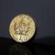 1984 Canada Gold Maple Leaf $10 Coin 1/4 Troy Oz.  9999 Pure Gold Coins: Canada photo 8