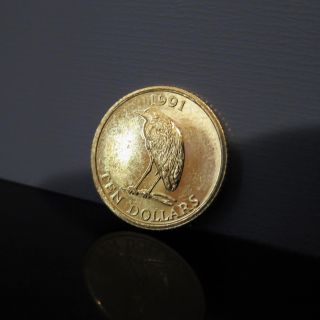1991 Bermuda $10 Ten Dollars Night Heron.  999 Fine Gold Coin Low Mintage photo