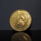 1985 China Gold Panda 10 Yuan 1/10 Oz.  999 Fine Gold Coin Coins: World photo 1