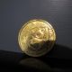1985 China Gold Panda 10 Yuan 1/10 Oz.  999 Fine Gold Coin Coins: World photo 6