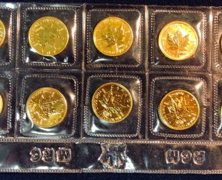 1999 Canadian 1/10th Oz.  Gold Privy 20th Anniversary Maple Leaf Bu Coin photo