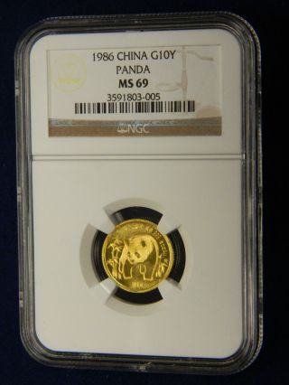 1986 China 10y Gold Panda - Ngc Graded Ms - 69 (005) Near Perfect photo