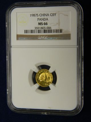 1987 - S China 5y Gold Panda - Ngc Graded Ms - 66 (006) photo