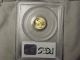 2002 Pcgs Ms69 $5 Gold American Eagle 1/10 Ounce Gold photo 1