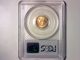 Pcgs Ms69 1988 1/10th Oz $5 Gold American Eagle Gold photo 1