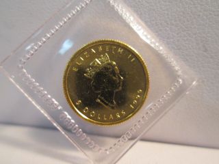 1999 Canadian Maple $5 Dollar 1/10th Gold photo