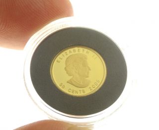 2006 Canada 1/25 Troy Ounce 9999 Fine Gold Coin 50 Cents Elizabeth Ii Pur photo