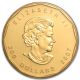 2007 1 Oz Gold Canadian Maple Leaf Coin -.  99999 Fine - Sku 25695 Gold photo 3