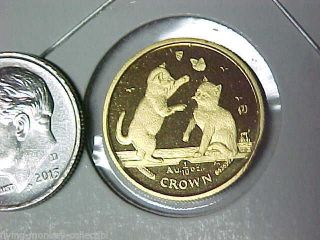 2004 Isle Of Man 1/10 Ounce Gold Crown Tonkinese Kittens - Uncirculated photo