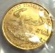 1999 $5 Gold Eagle 1/10 Oz Gold Gold photo 1