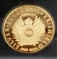 1/10 Oz Gold Debt And Death Gold Coin Sbss Silver Bullet Silver Shield.  9999 Oz Gold photo 1