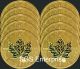 10 2014 1 Oz Gold Canadian Maple Leafs 10 Troy Ounces.  9999 Gold photo 1