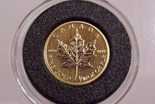 2013 Canadian Maple Leaf 1/10th Oz Gold A (and Very Wise) Investment photo