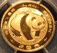 1983 25 Yuan Pcgs Ms 69 China Gold Panda,  1/4 Troy Ounce,  Chinese Oz.  Scarce Gold photo 2