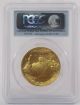 2011 American Buffalo 1 Oz.  9999 Gold Coin $50 Pcgs Ms70 5th Ann First Strike Gold photo 2