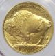 2011 American Buffalo 1 Oz.  9999 Gold Coin $50 Pcgs Ms70 5th Ann First Strike Gold photo 3
