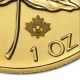 2014 1 Oz Gold Canadian Maple Leaf Coin - Brilliant Uncirculated - Sku 85688 Gold photo 2