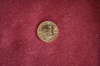 1982 South African Krugerrand 1/10 Ounce Of Gold - Brilliant Uncirculated Coin photo