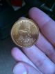 1983 One Troy Ounce Gold Krugerrand.  1oz Fine Gold Gold photo 4