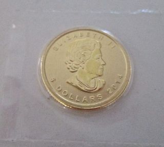 1/10th Oz.  Canadian Maple Leaf Gold Coin photo