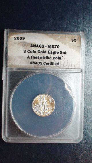 2009 P $5 Gold Eagle Anacs Ms70 Tenth Ounce 1/10 Oz Fine Gold Coin First Strike photo