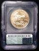 2003 Us $50 Gold Eagle Icg Ms 70 Gold photo 1