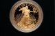 2008 W $50 American Gold Eagle Cameo Proof Coin Gold photo 1