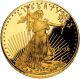 2008 W $50 American Gold Eagle Cameo Proof Coin Gold photo 4
