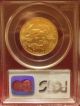 2002 $25 1/2 Oz American Gold Eagle Pcgs Ms 69 Gold photo 2