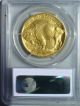 2007 1 Ounce.  9999 Fine 24kt Gold American Buffalo Pcgs Ms69 Gold Gold photo 1