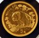 1997 China 1/20 Oz.  999 Fine Gold Panda - Ex Jewerly Gold photo 1