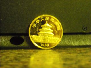 1988 1/4oz Chinese Panda Gold Coin photo