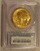 2014 1oz $50 Gold Buffalo - Ms - 70 First Strike Perfect Coin Pcgs Gold photo 1