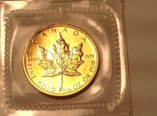 1986 1/10 Ounce Canadian Maple Leaf photo