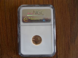 2007 $5 Gold American Eagle.  Gem Uncirculated. photo