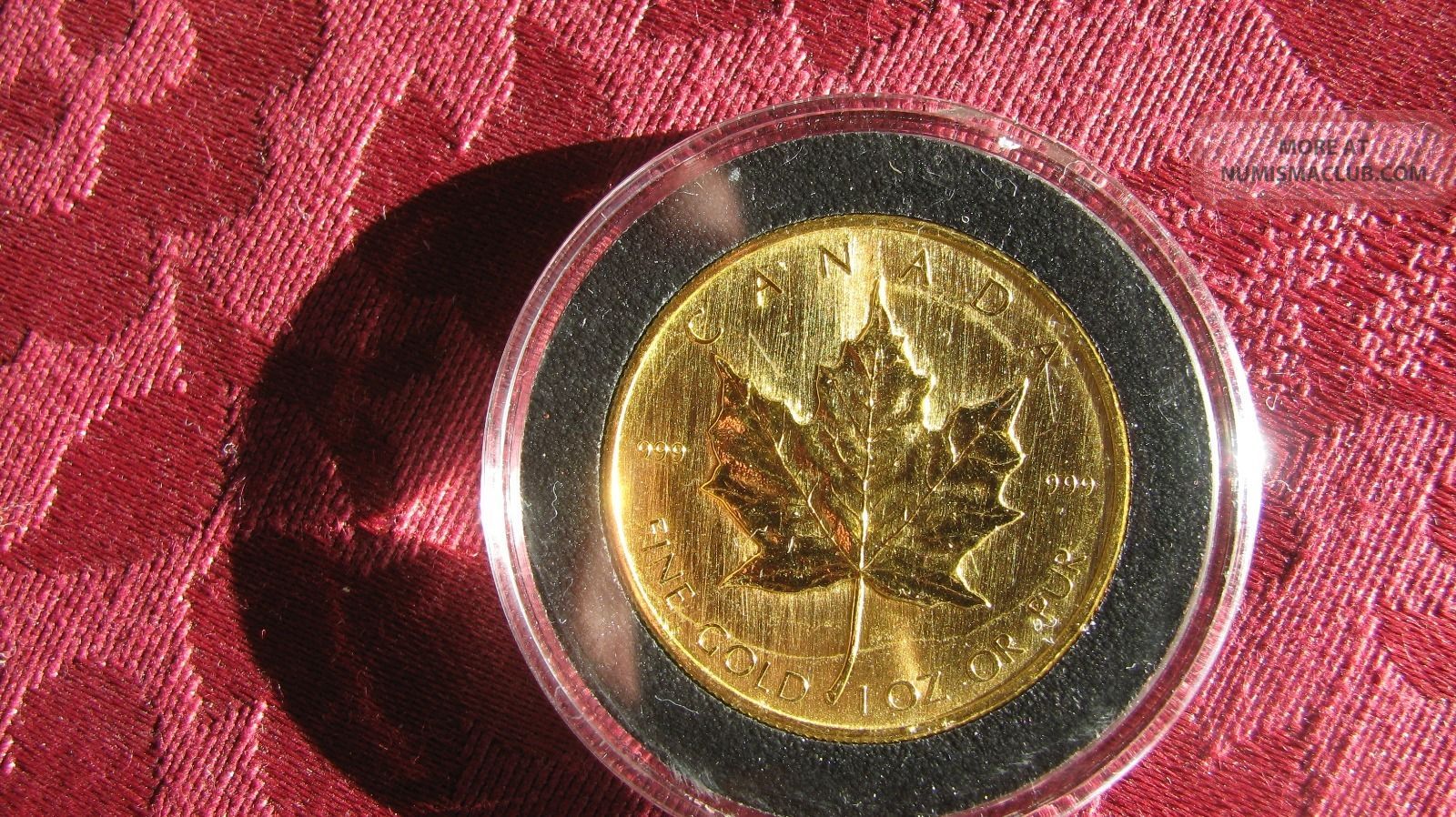 1980 1 Oz Gold Canadian Maple Leaf 50 Coin Young Elizabeth 1980-1-oz-gold-canadian-maple-leaf-50-coin-young-elizabeth