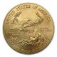 2010 1 Oz Gold American Eagle Coin Gold photo 1