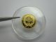 Indian Head Dollar (small Gold Coin).  5 Grams Gold Gold photo 3
