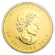 2014 1 Oz Gold Canadian Maple Leaf Coin - Ms - 68 First Strike Pcgs - Sku 81289 Gold photo 2