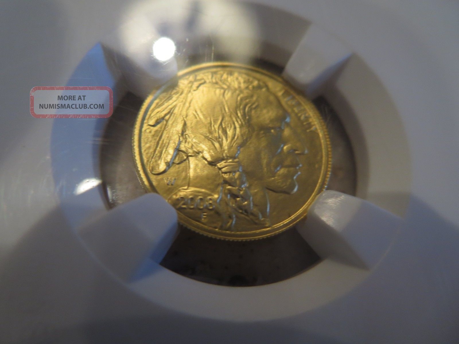 2008 W American Buffalo $5 Gold Ms70 Ngc 1/10 Ounce Ms70 9999 Fine